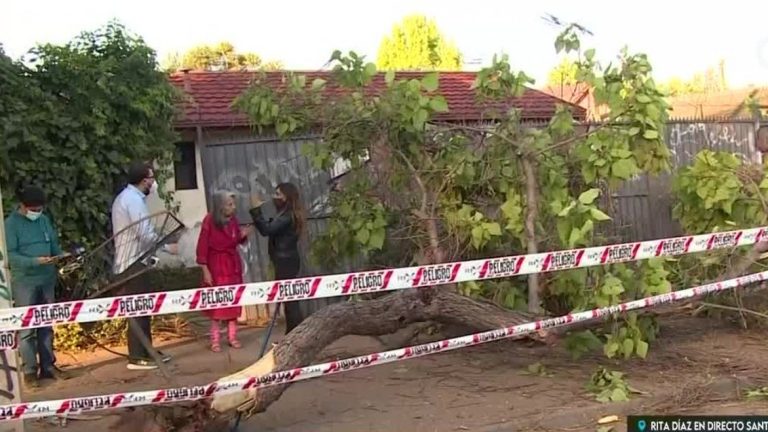 Impactantes imágenes: Conductor ebrio chocó a gran velocidad contra un árbol y dañó la fachada de una casa en La Reina