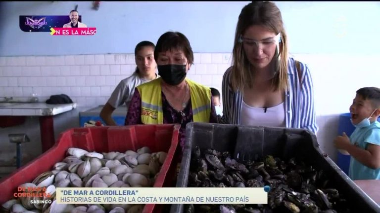 De Mar a Cordillera: Millaray Viera visitó Caleta de Mejillones