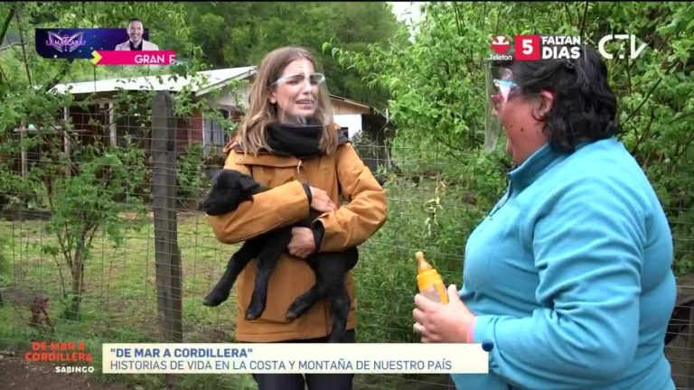 De Mar a Cordillera: Millaray Viera conoció Caleta Mehuín y Liquiñe