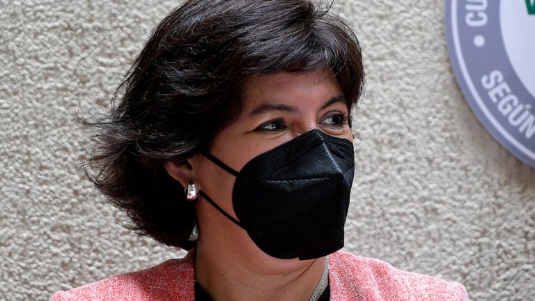 Entre la izquierda y el centro: Los caminos de Yasna Provoste para llegar a La Moneda