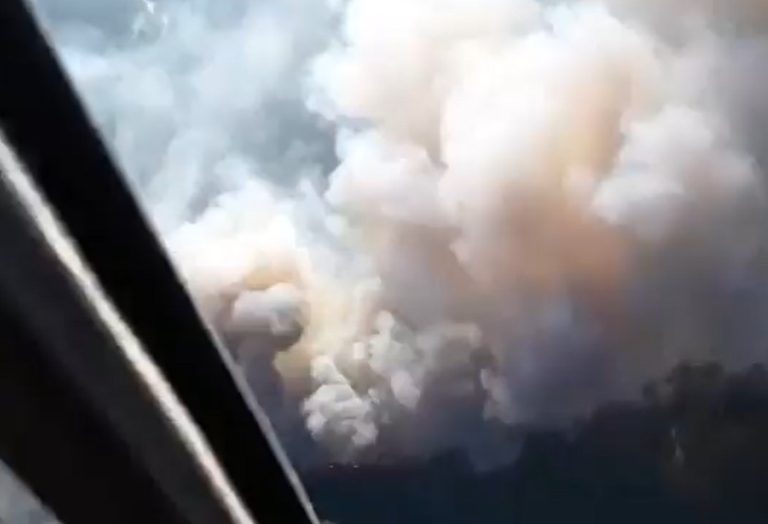 Alerta Roja en San Fernando por incendio forestal en Sierras de Bellavista