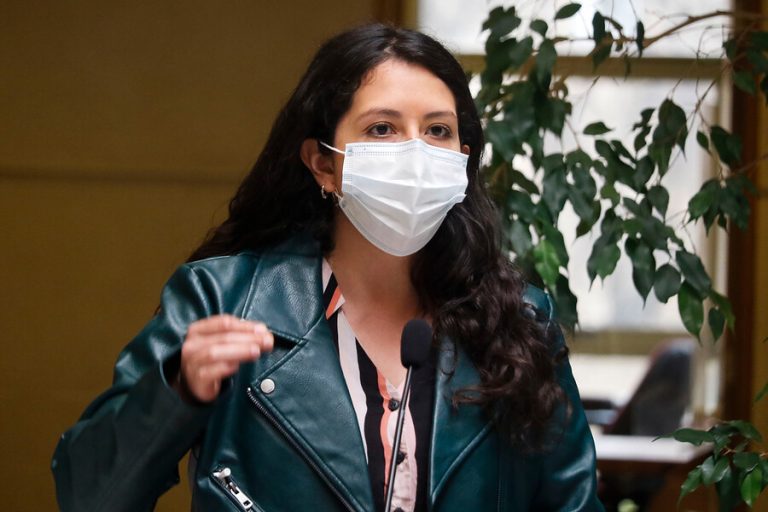 Diputada Yeomans y acuerdos en el Congreso: 