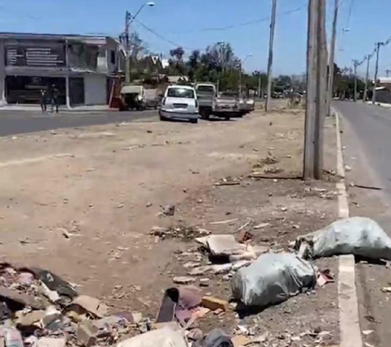 Vecinos de Maipú denuncian faenamiento y hallazgos de pieles de perros en campamento