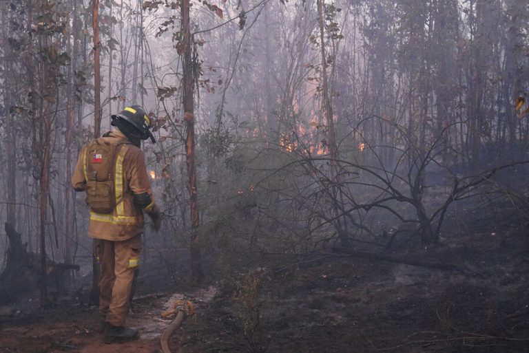 Alerta Roja: Regiones de O’Higgins, Ñuble, La Araucanía y Los Lagos son afectadas por incendios forestales