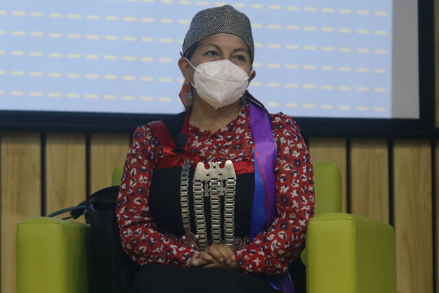 Loncon y rol del actual gobierno ante la CC: 