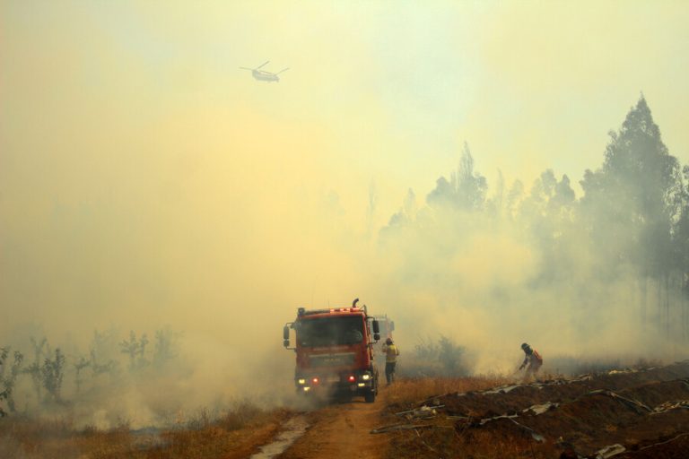Incendios forestales: Gobierno decreta Zona de Emergencia Agrícola en Quillón y compromete ayuda a damnificados