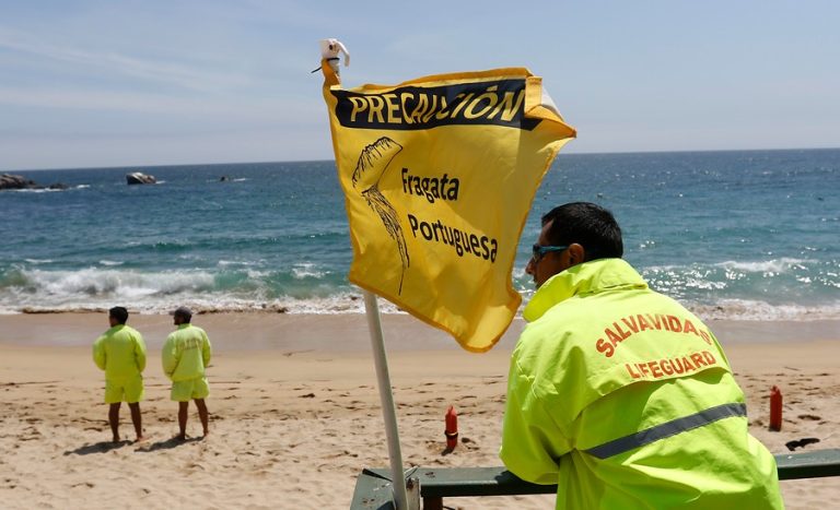 Seremi decreta cierre de playas en Puchuncaví por presencia de Fragata Portuguesa