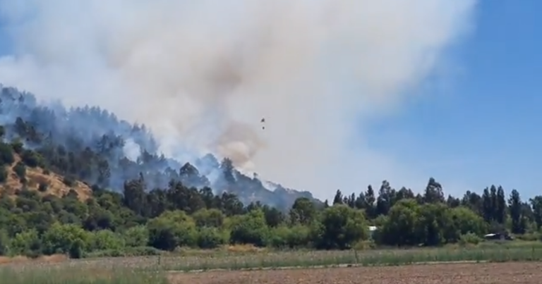 Declaran Alerta Amarilla por incendio forestal en la comuna de Yerbas Buenas