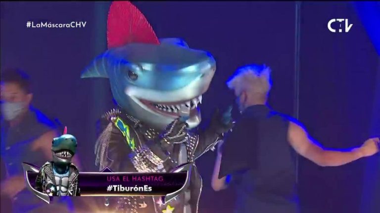 “Se está haciendo el que canta mal”: ¿Tiburón está engañando a los investigadores?