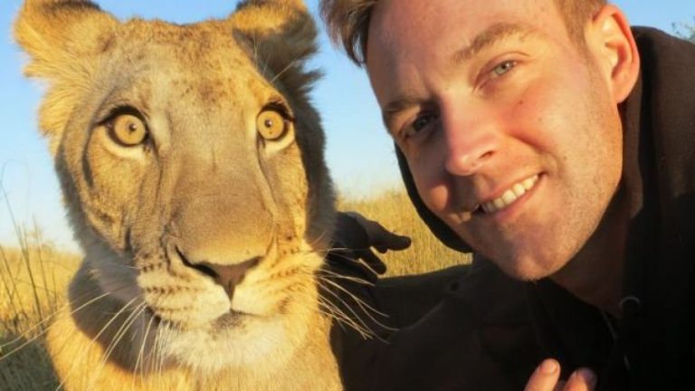 ¡Una leona influencer!: Sirga saltó a la fama tras viralización de videos abrazando a su cuidador