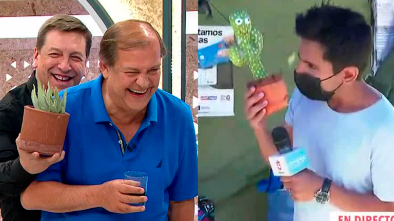 “¡Miento! ¡Presidenta Bachelet!”: Pancho Vidal alucinó con el cactus parlanchín de JP Queraltó
