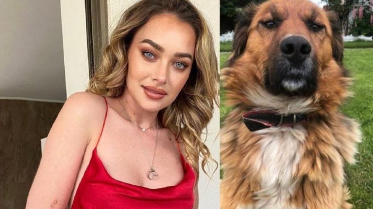 Daniela Nicolás recibió ola de críticas tras opinar sobre el perro de Gabriel Boric