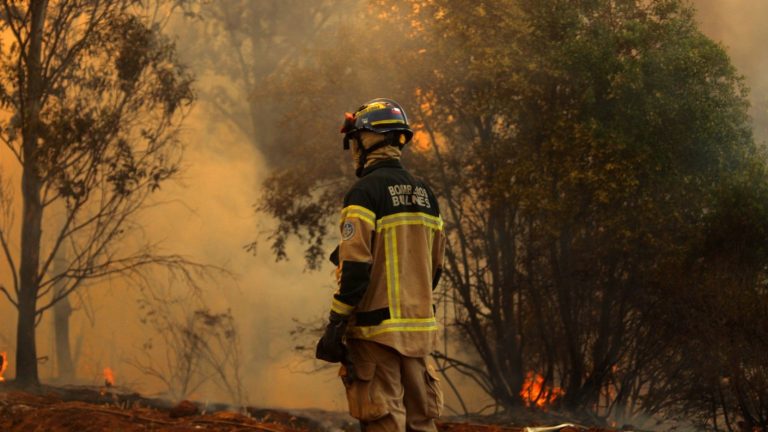 “Se están dando las condiciones para que vuelva a propagarse”: Continúan los trabajos para apagar los incendios forestales en Quillón