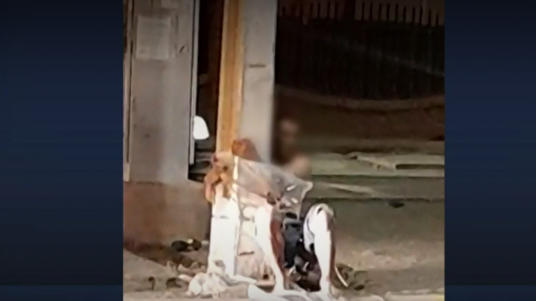 Vecinos de San Bernardo realizan detención ciudadana y amarran a un poste a hombre acusado de robo