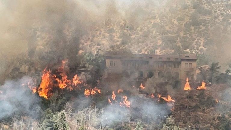 Incendio forestal en San José de Maipo afecta a viviendas del sector: Decretan Alerta Roja