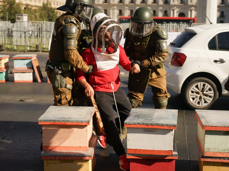 Cuatro personas detenidas tras protesta de apicultores frente a La Moneda: Liberaron cajas llenas de abejas
