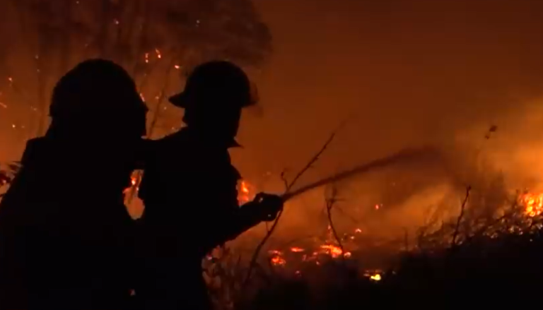 Van 32 mil hectáreas quemadas: El arriesgado combate a los incendios y la ardua labor de brigadistas