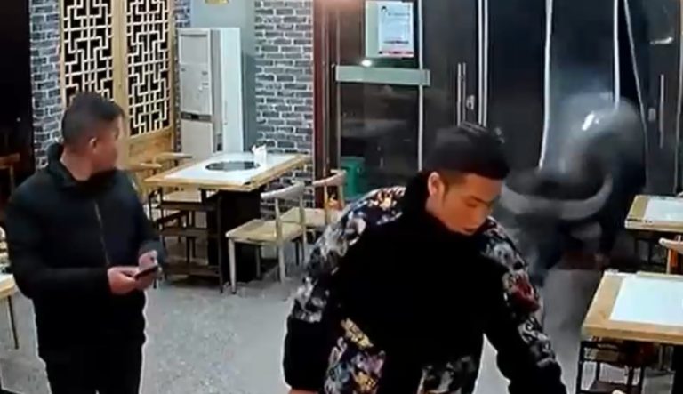 Se habría escapado de un matadero: Búfalo lanzó a hombre por los aires tras ingresar a un restaurante en China