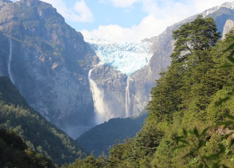 Turistas canadienses son expulsados de Parque Nacional en Aysén tras hacer fogata