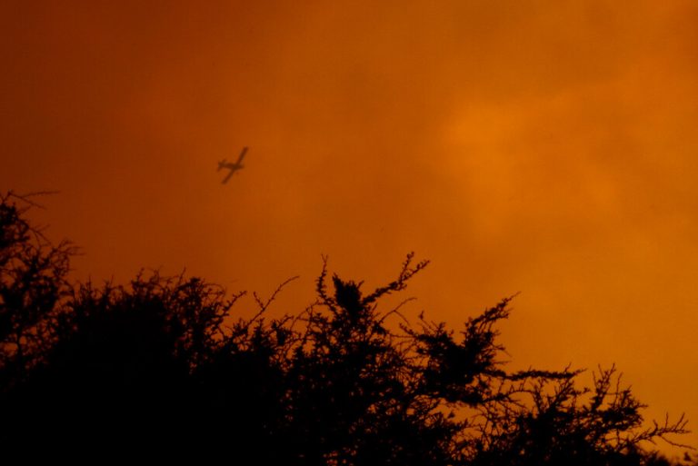 Decretan alerta roja en la comuna de Valparaíso por incendio forestal