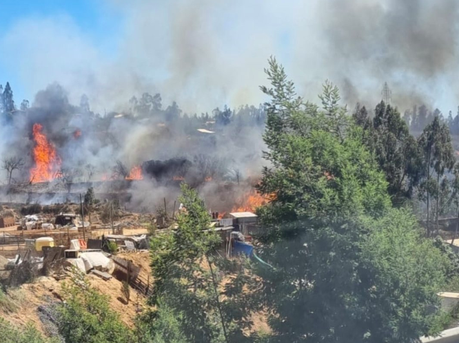 Alerta Roja en Valparaíso por incendio forestal: Onemi y Conaf trabajan para extinguir las llamas