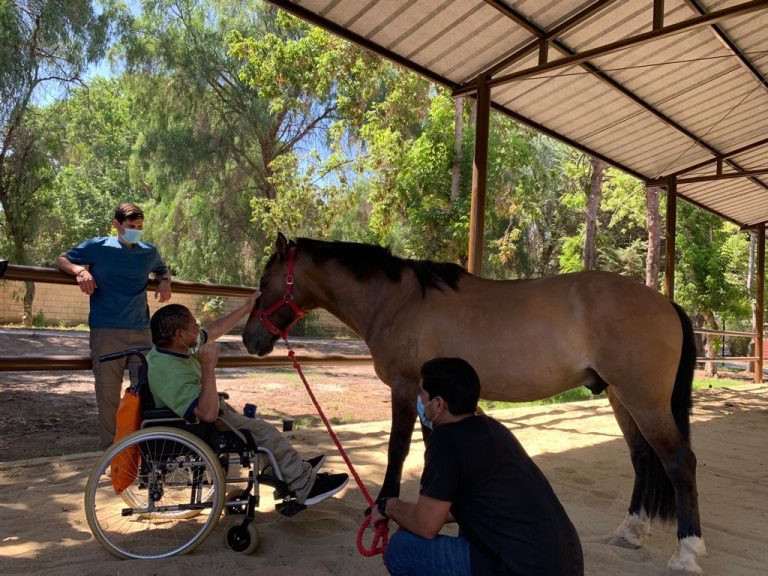 Aporta beneficios fisioterapéuticos y psicológicos: Pequeño Cottolengo inaugura área con terapia ecuestre
