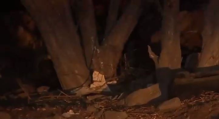 Encuentran cuerpo sin vida de una mujer en Renca: Sujeto habría confesado el crimen