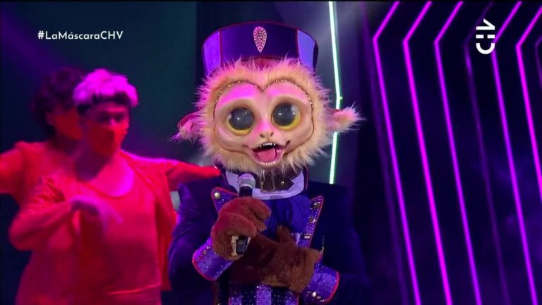 “Usted, cantante, no es”: Mono dejó inseguros a los investigadores