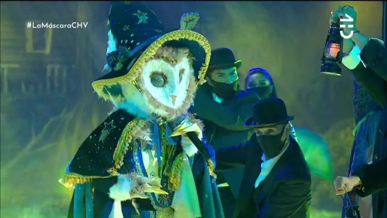 ¿Será profesora de música? Lechuza enamoró a los investigadores