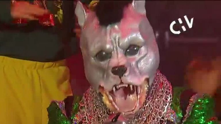 ¡Una voz tan profunda como sus ladridos! Pitbull sorprendió interpretando 