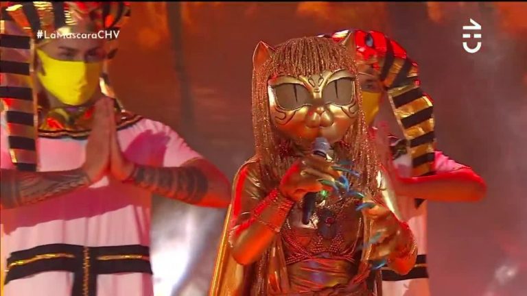 “La gatita de mis desvelos”: Cleogata fascinó a los investigadores