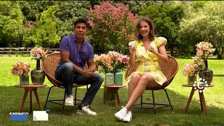 Sabingo | Capítulo 22 de enero