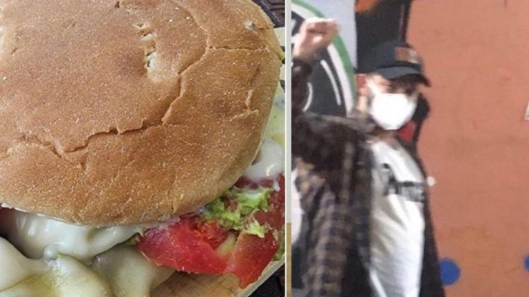 ¿El Boris Vegano?:  El Barros Boric ya tiene su alternativa vegetariana