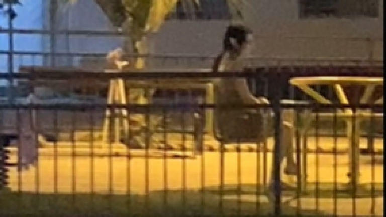 ¡De miedo! La verdad tras el viral de terror en La Serena