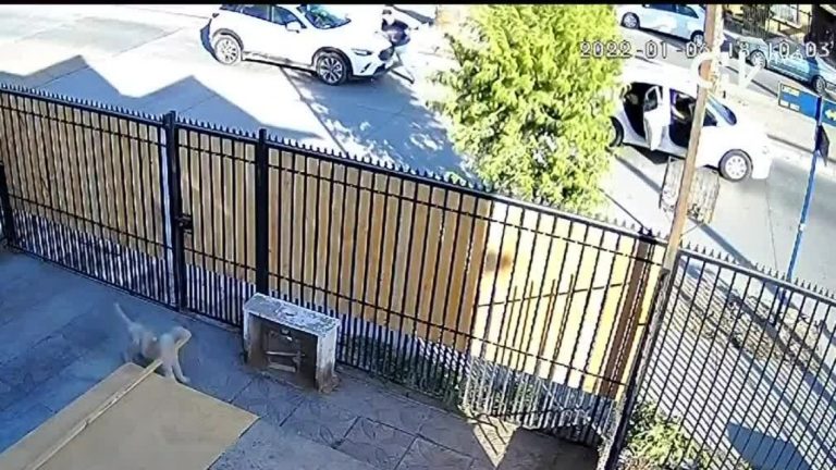 Autores siguen prófugos: Mujer sufrió violenta encerrona en Maipú