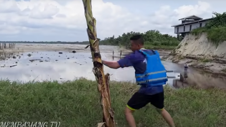 La explicación tras el masivo video en el que un hombre boxea un árbol mientras espera un tsunami