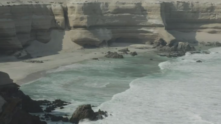 Congreso Futuro: La importancia del Omega 3 y el cuidado del mar