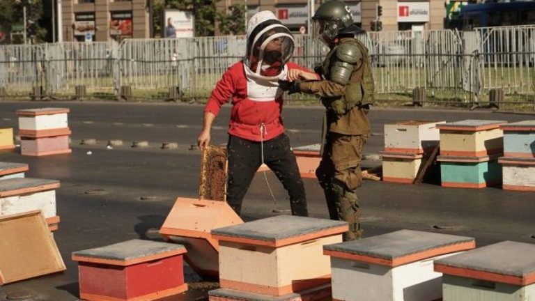 ¡Llevaron 10 mil abejas! Apicultores protestaron en el exterior de La Moneda