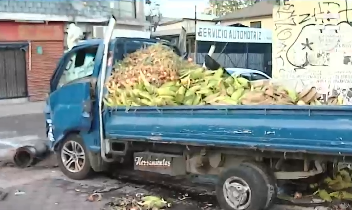 Camión chocó con árbol y paradero en plena Gran Avenida: Conductor se dio a la fuga