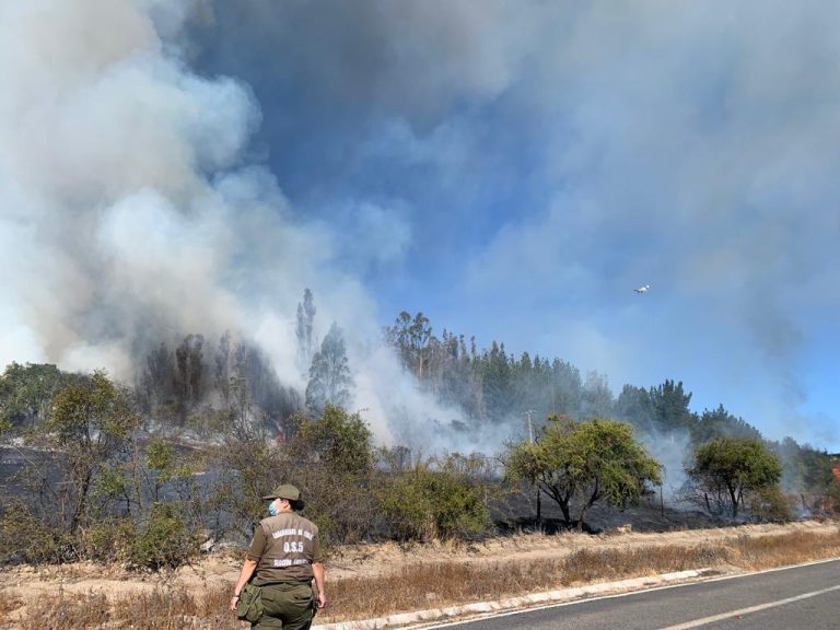 Incendio amenaza la Reserva Nacional de Peñuelas y declaran alerta roja: Las imágenes de la emergencia