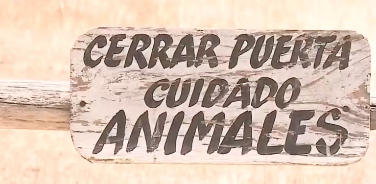 Polémica por cierres de accesos a playas: Aumentan las denuncias