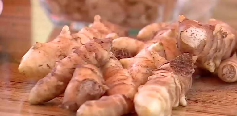 “Topinambur”: La planta “milagrosa” contra la diabetes