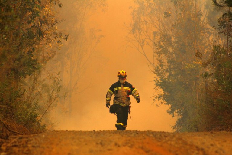 Verano en llamas: 10 incendios han destruido terrenos equivalentes a 155 veces el Parque O'Higgins