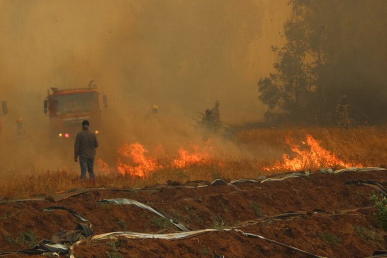 Decretan Alerta Roja en la comuna de Casablanca por incendio forestal activo