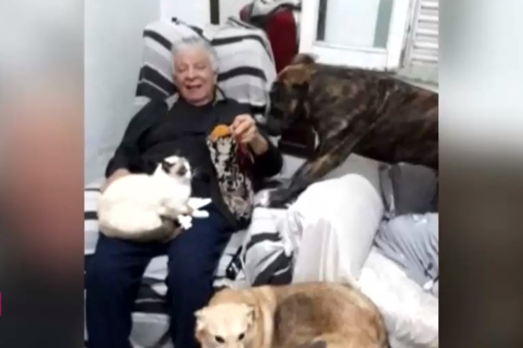 Adulto mayor busca reunirse con su perrita tras cuatro meses: No la dejaron viajar desde Argentina