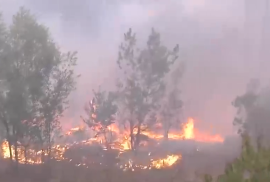 Agricultor resultó con el 97% de su cuerpo quemado: Intentaba combatir incendio en La Araucanía