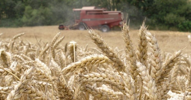 Las materias primas esenciales que se verían afectadas por la invasión de Rusia a Ucrania