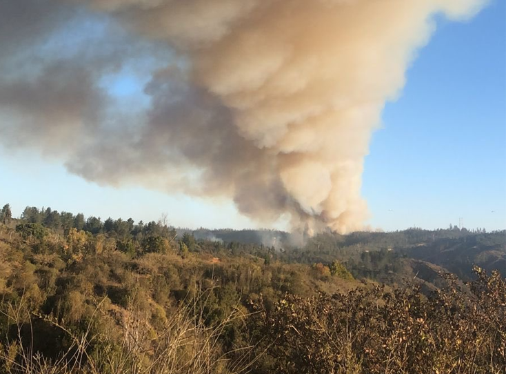 Alerta Roja en Valparaíso por incendio forestal en camino La Pólvora: Cortan tránsito en Ruta 68