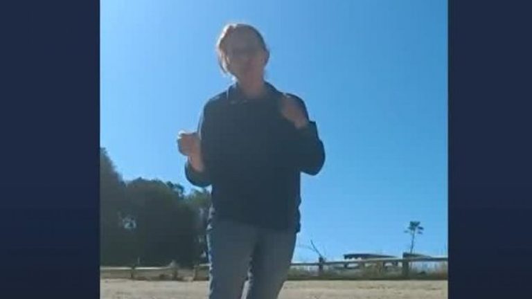 Detuvieron a mujeres tras discusión en playa de Pto. Montt: Una acusa amenazas y la otra lesiones