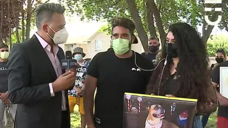 Civavet en el ojo del huracán: Centro veterinario de Puente Alto recibe más de cien denuncias por malos tratos y negligencias con resultados de muerte